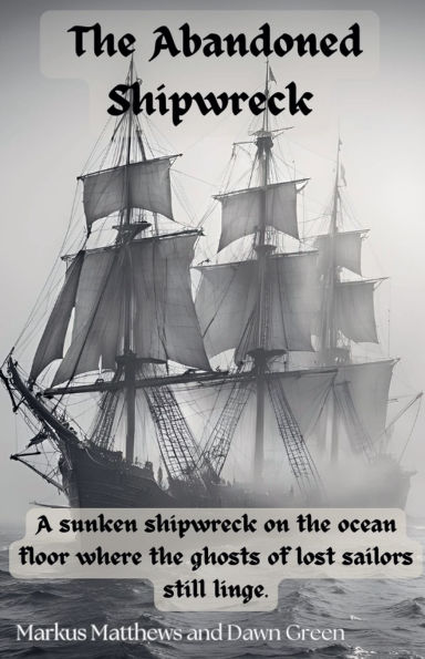 The Abandoned Shipwreak