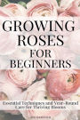 Growing Roses For Beginners: Essential Techniques and Year-Round Care for Thriving Blooms