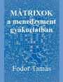 Mï¿½trixok a menedzsment gyakorlatban