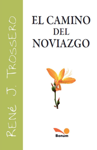 El camino del noviazgo