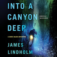 Title: Into a Canyon Deep, Author: James Lindholm