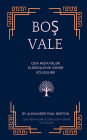 Boş Vale: Qısa Hekayələr: Elderqlenin Səhər Kï¿½lgələri