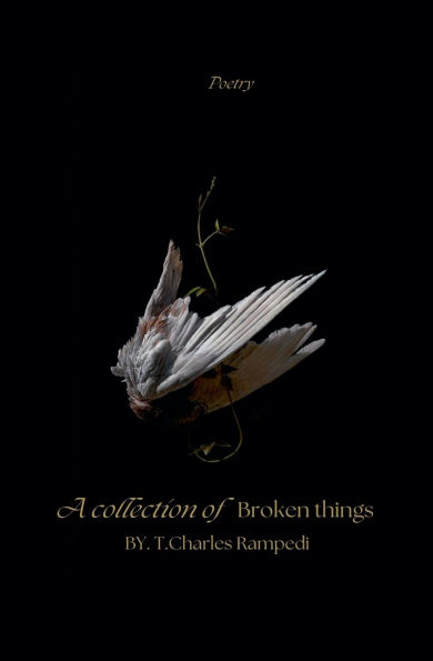A Collection Of Broken Things