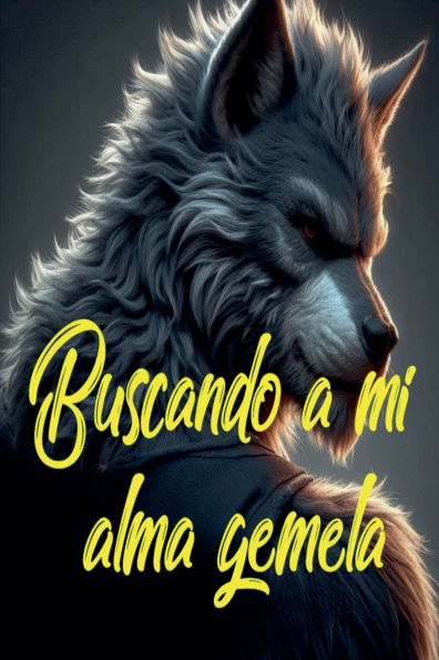 Buscando a mi alma gemela