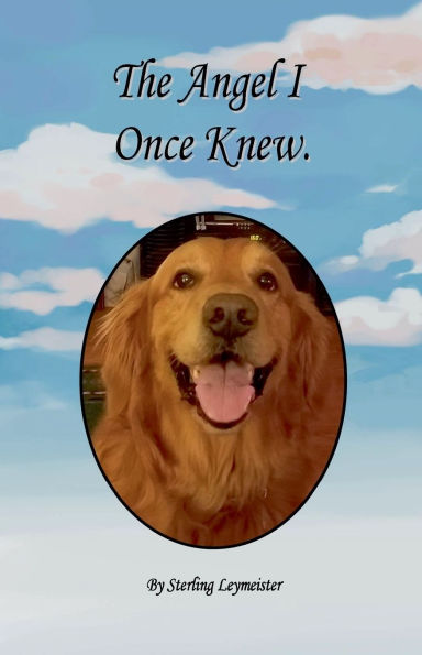 The Angel I Once Knew