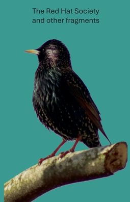 The Red Hat Society and other fragments