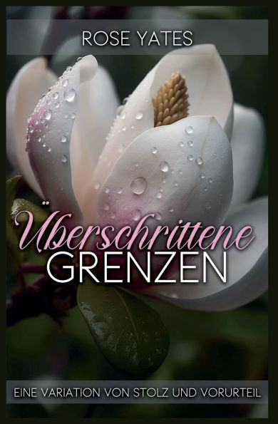 ï¿½berschrittene Grenzen: Eine Variation von Stolz und Vorurteil