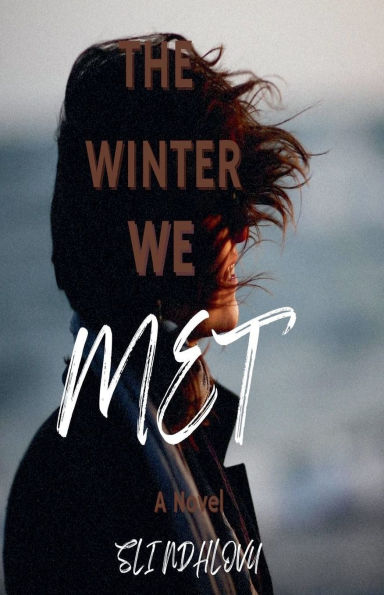 The Winter We Met