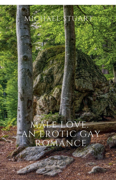 Male Love. An Erotic Gay Romance