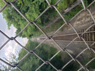 Title: Wire Fence, Author: Nicole Spencer