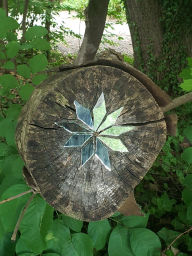 Title: Wood Trunk, Author: Nicole Spencer