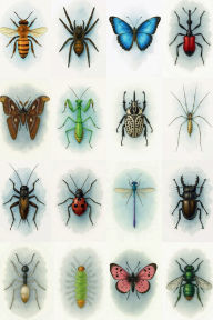 Title: INSECT ART COLLECTION: 6x9 blank lined journal : 100 pages, Author: Elytra Phylum