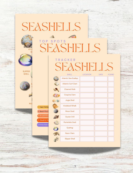 The Seashells of Hawai'i Activity Book: An Interactive Guide to Identifying Shells and Exploring the Shores