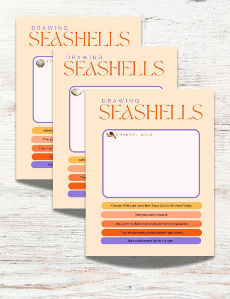 The Seashells of Hawai'i Activity Book: An Interactive Guide to Identifying Shells and Exploring the Shores