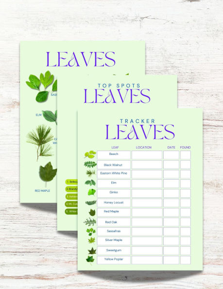 The Leaves of Hawai'i Activity Book: Your Family Guide to Identfying the Leaves and Trees of Hawai'i