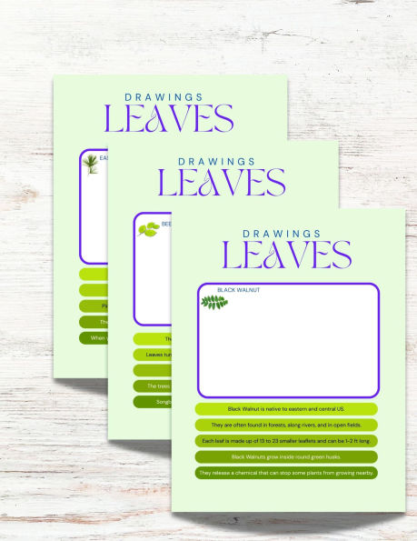 The Leaves of Hawai'i Activity Book: Your Family Guide to Identfying the Leaves and Trees of Hawai'i