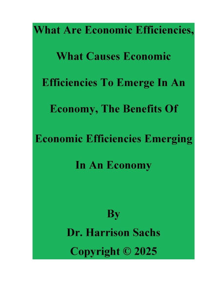 What Are Economic Efficiencies And Causes To Emerge An Economy
