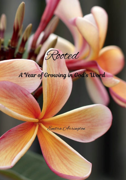 Rooted A Year of Growing in God's Word