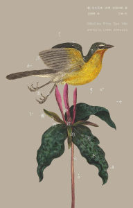 Title: ???????, Author: ??????????