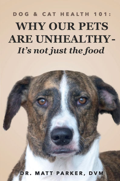 Dog & Cat Health 101: Why Our Pets Are Unhealthy (It's not just the food):