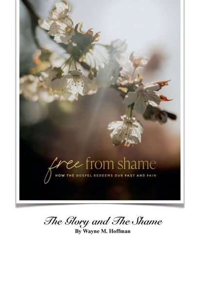 The Glory And The Shame