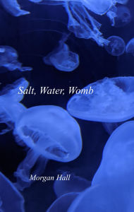 Free public domain ebooks download Salt, Water, Womb MOBI FB2 RTF in English