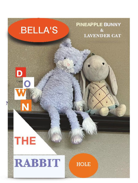 BELLA'S PINEAPPLE BUNNY & LAVENDER CAT DOWN THE RABBIT HOLE