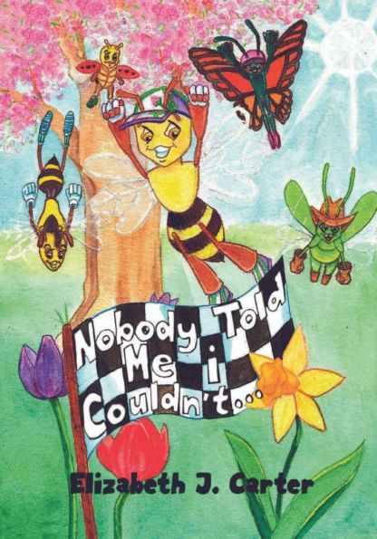 Nobody Told Me I Couldn't...