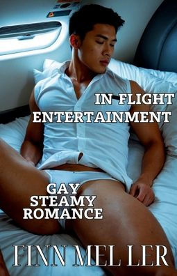 Flight Entertainment: Gay steamy instalove romance