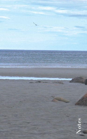 Empty Beach Hard-bound Blank Notebook