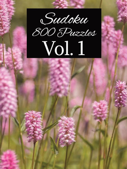 800 Sudoku Puzzle Book Vol. 1: Sudoku with Easy to Read large Print 8.5x11 inches, 400 Pages 800 Puzzles ... Gift for Holidays, Vacations and Relax