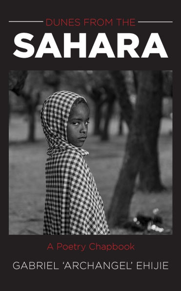 Dunes From the Sahara