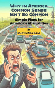 Title: Why in America Common Sense Isn't So Common: Simple Fixes for America's Absurdities, Author: Saint Maha Kaal