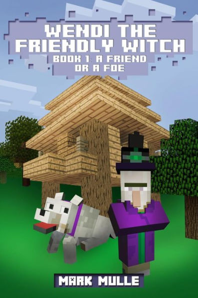 Wendi the Friendly Witch Diaries Book 1: a Friend or Foe?