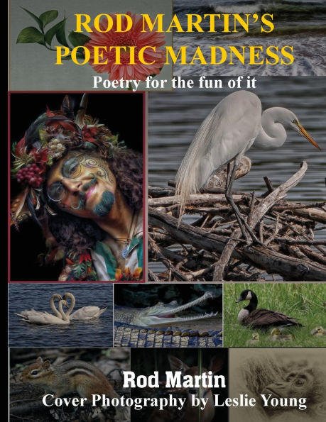 Rod Martin's Poetic Madness: Poetry for a New World and All Earth's Children