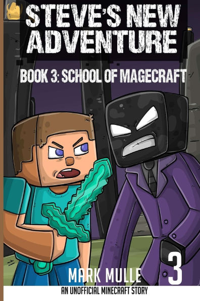 Steve's New Adventure Book 3: School of Magecraft