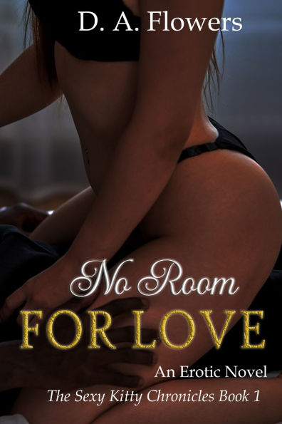 No Room for Love: An Erotic Novel: An Erotic Novel