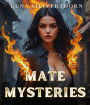 Mate Mysteries: An Alpha Male Fated Mates Romance