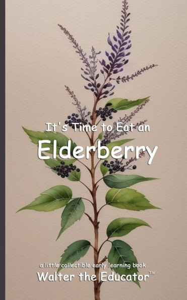 It's Time to Eat an Elderberry