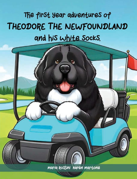 The First Year Adventures Of Theodore Newfoundland And His White Socks