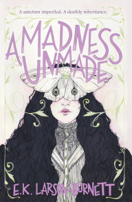 Download english ebook A Madness Unmade by E K Larson-Burnett 9798330485512 English version
