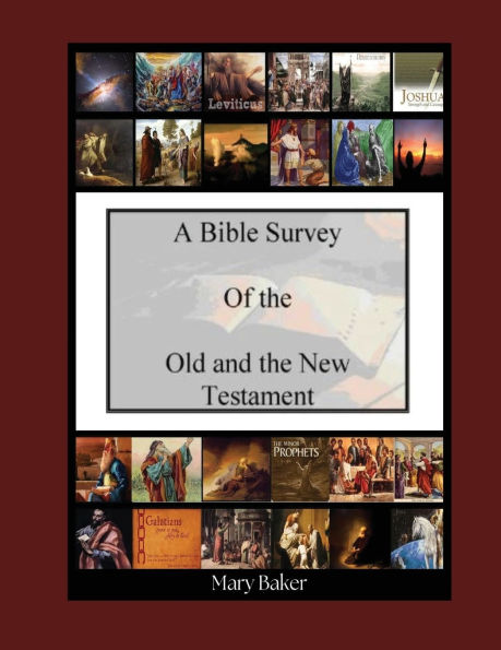 Bible Survey of the Old and New Testament