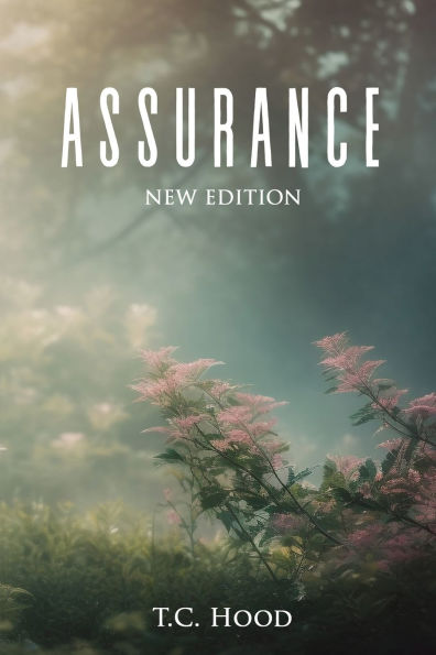 Assurance: New Edition