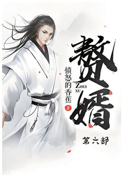 赘婿：第六部