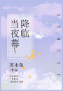 当夜幕降临