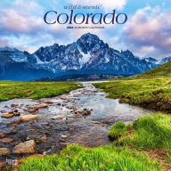 Title: 2026 Colorado Wild & Scenic Square Flap