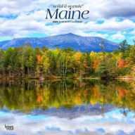 Title: 2026 Maine Wild & Scenic Square Flap