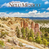 Title: 2026 New Mexico Wild & Scenic Square Flap