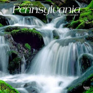 Title: 2026 Pennsylvania Wild & Scenic Square Flap