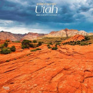 Title: 2026 Utah Wild & Scenic Square Flap